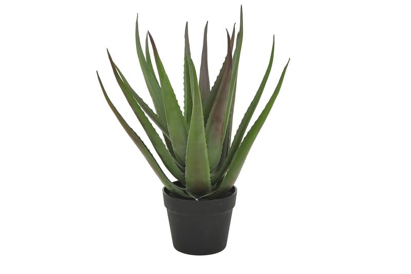 Konstgjord Växt Moganas Aloevera 50 cm - Grön - Konstväxt & plastblommor - Blomsterdekoration