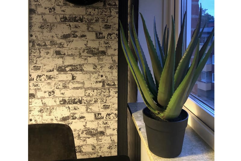 Konstgjord Växt Moganas Aloevera 50 cm - Grön - Konstväxt & plastblommor - Blomsterdekoration