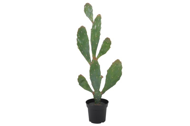 Konstgjord Växt Moganas Kaktus - Grön - Konstväxt & plastblommor - Blomsterdekoration