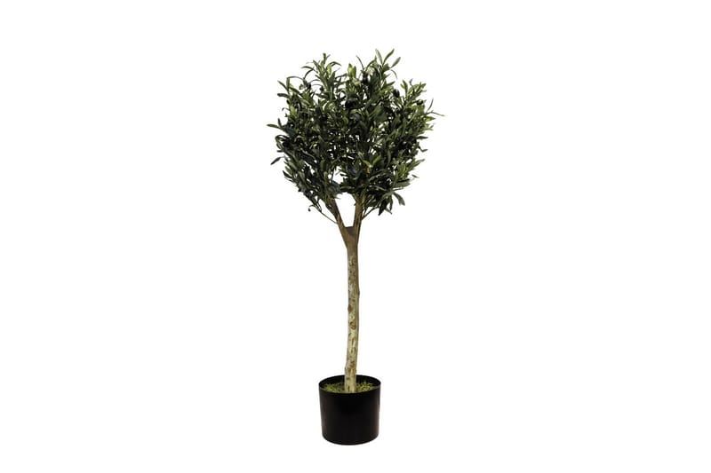 Konstgjord Växt Olivträd 100cm - Konstväxt & plastblommor - Blomsterdekoration