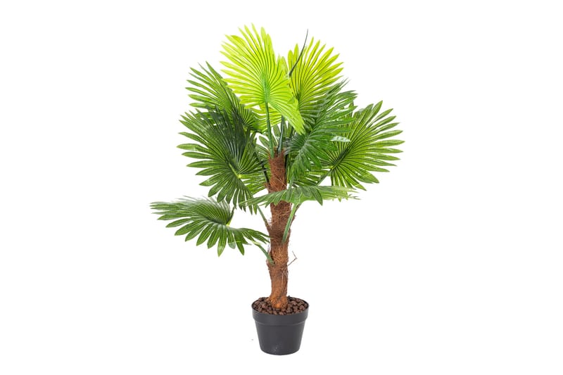 Konstväxt Fan Palm 100cm - Konstväxt & plastblommor - Blomsterdekoration