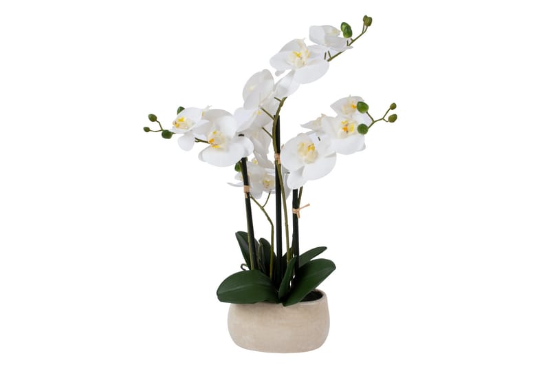 Konstväxt Orkide In Garden Vit -   - Konstväxt & plastblommor - Blomsterdekoration