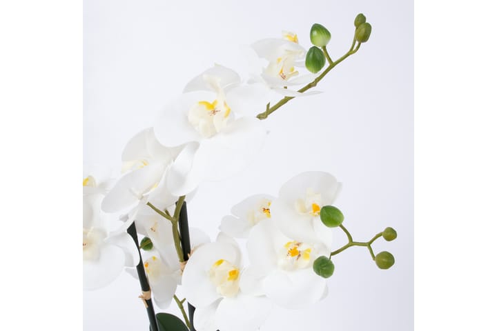 Konstväxt Orkide In Garden Vit -   - Konstväxt & plastblommor - Blomsterdekoration