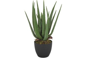 Konstväxt Vardan Alovera - Grön|Svart - Inredning - Dekoration & inredningsdetaljer - Konstväxt & plastblommor