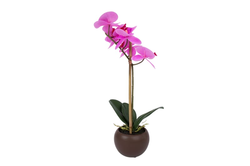 Lila Orkidea 46 cm på Svart Kruka - Konstväxt & plastblommor - Blomsterdekoration