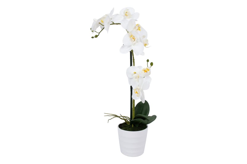 Vit Orkidea 51 cm på Vit Kruka - Konstväxt & plastblommor - Blomsterdekoration