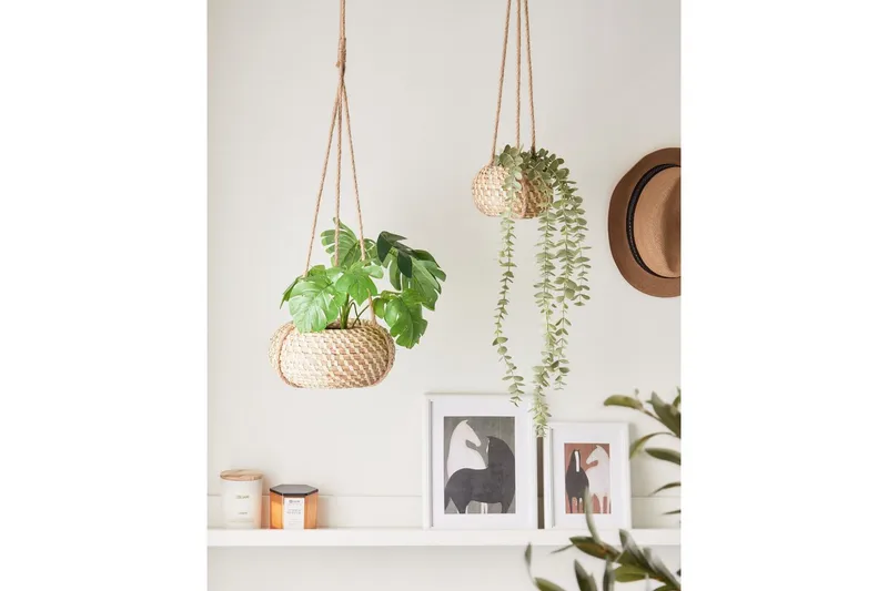Inomhuskruka Remora set om 2 - Inredning - Dekoration & inredningsdetaljer - Krukor & ytterkrukor - Ampelkruka