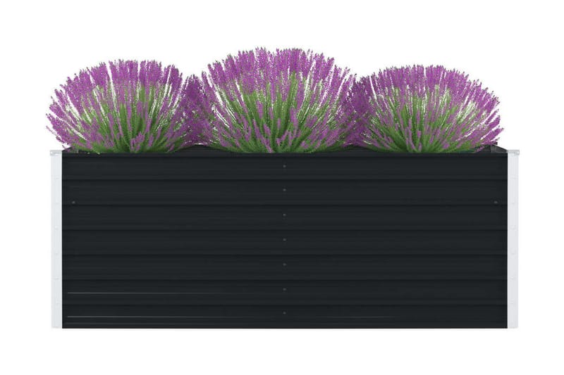 Odlingslåda 160x80x45 cm galvaniserat stål antracit - Grå - Blomlåda & balkonglåda - Utomhuskruka