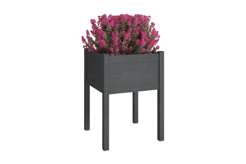 Odlingslådor 2 st grå 50x50x70 cm massiv furu - Blomlåda & balkonglåda - Utomhuskruka