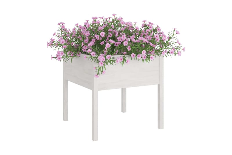 Odlingslådor 2 st vit 70x70x70 cm massiv furu - Blomlåda & balkonglåda - Utomhuskruka