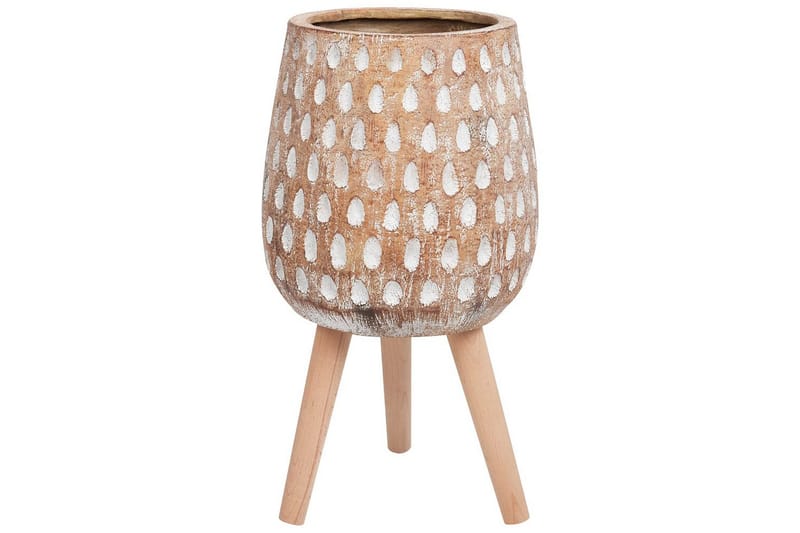 Trädgårdskruka Asclepias