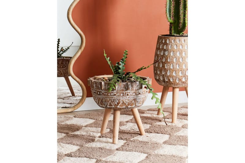 Trädgårdskruka Asplenium - Inredning - Dekoration & inredningsdetaljer - Krukor & ytterkrukor - Utomhuskruka