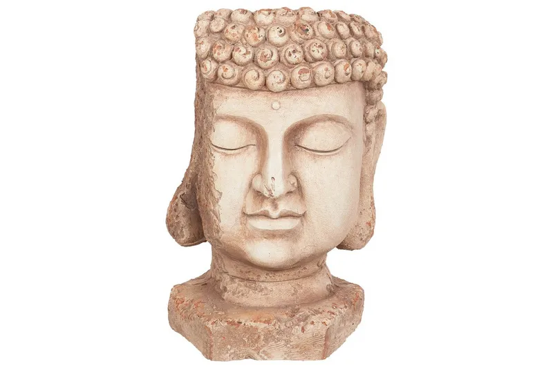 Trädgårdskruka Butomus