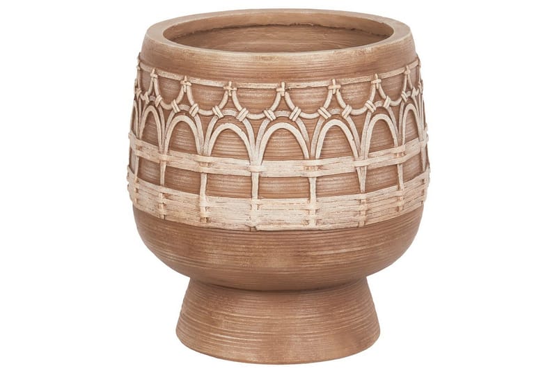 Trädgårdskruka Cicuta