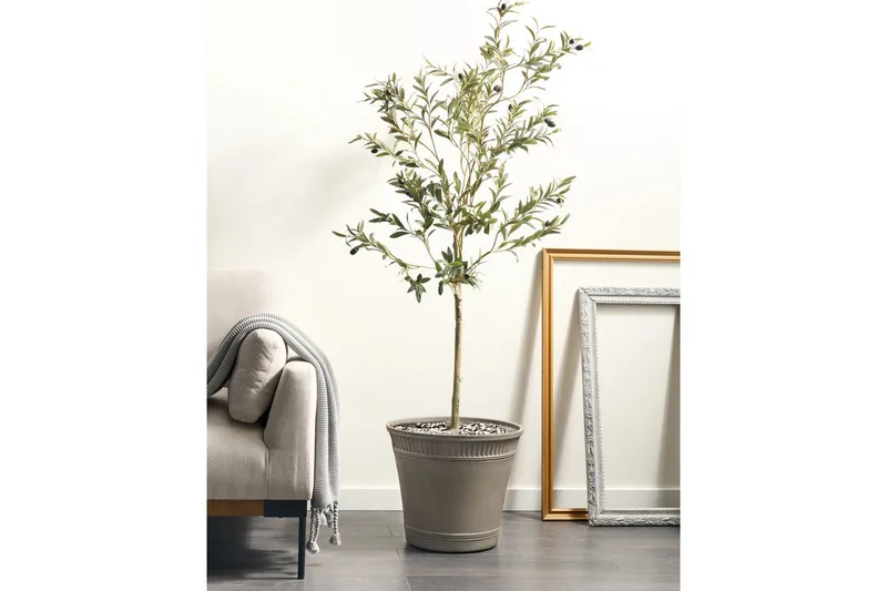 Trädgårdskruka Cistus - Inredning - Dekoration & inredningsdetaljer - Krukor & ytterkrukor - Utomhuskruka