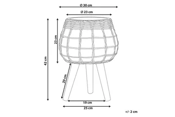 Trädgårdskruka Darmera - Inredning - Dekoration & inredningsdetaljer - Krukor & ytterkrukor - Utomhuskruka