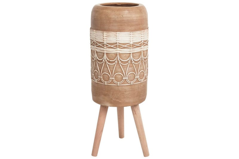 Trädgårdskruka Dryopteris