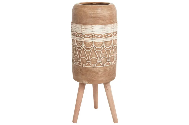 Trädgårdskruka Dryopteris