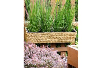 Trädgårdskruka Kawala Beige, 80x18x20 cm - Beige, 80x18x20 cm - Inredning - Dekoration & inredningsdetaljer - Krukor & ytterkrukor - Utomhuskruka