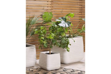 Trädgårdskruka Parikia Vit, 28x28x27 cm - Vit, 28x28x27 cm - Inredning - Dekoration & inredningsdetaljer - Krukor & ytterkrukor - Utomhuskruka