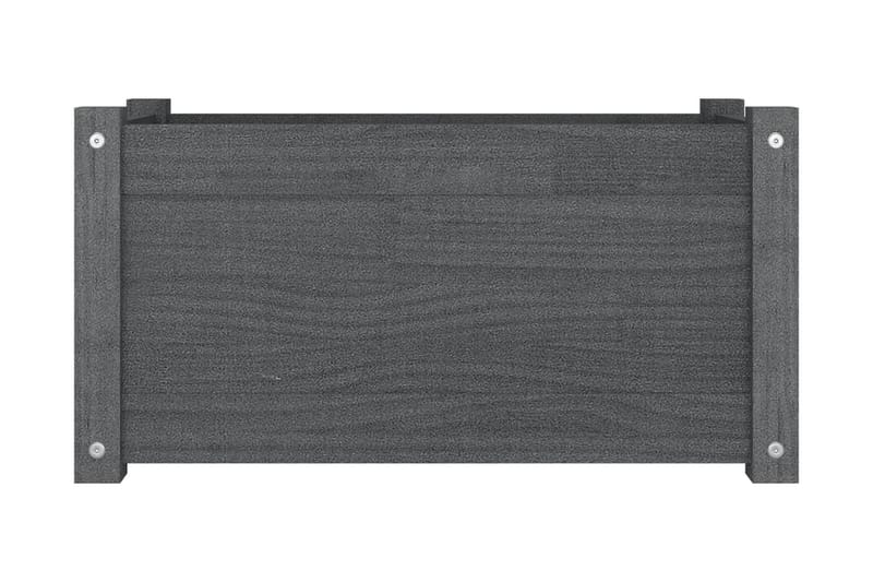 Odlingslåda grå 60x31x31 cm massiv furu - Grå - Blomlåda & balkonglåda - Utomhuskruka