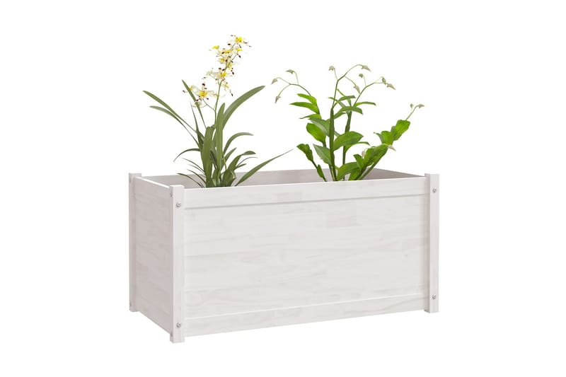 Odlingslåda vit 100x50x50 cm massiv furu - Vit - Utomhuskruka - Blomlåda & balkonglåda