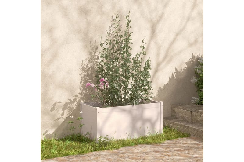 Odlingslåda vit 100x50x50 cm massiv furu - Vit - Blomlåda & balkonglåda - Utomhuskruka