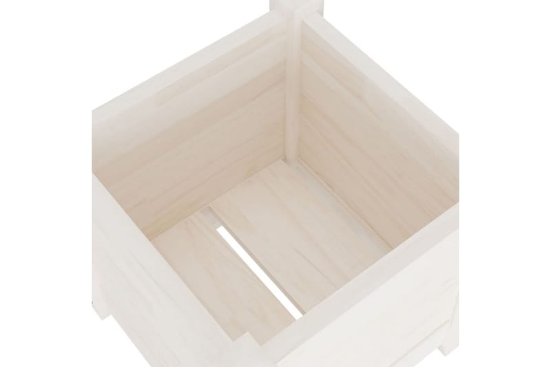 Odlingslåda vit 31x31x31 cm massiv furu - Vit - Utomhuskruka - Blomlåda & balkonglåda