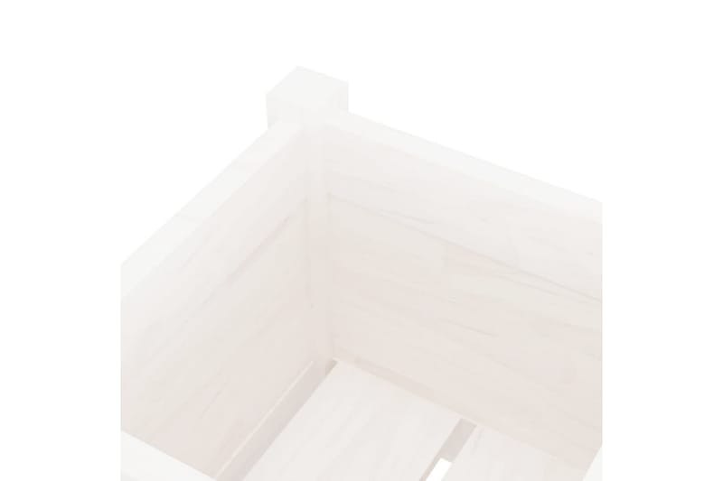 Odlingslåda vit 31x31x70 cm massiv furu - Vit - Utomhuskruka - Blomlåda & balkonglåda