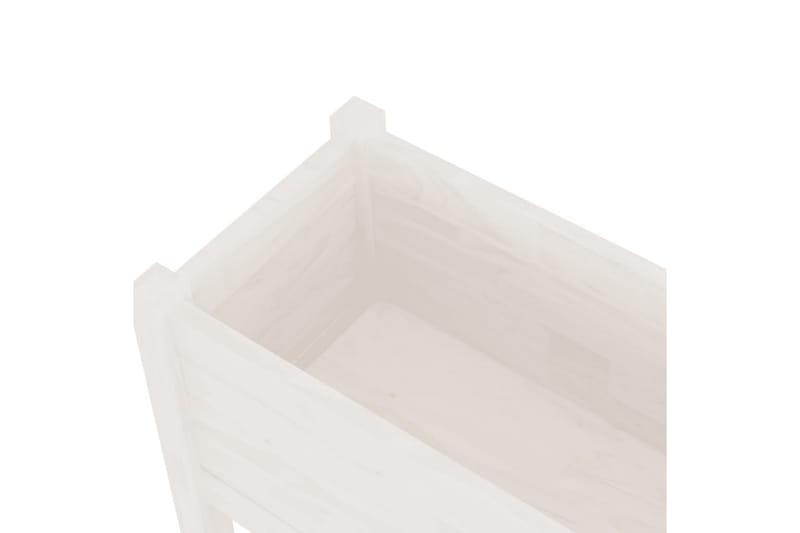Odlingslåda vit 70x31x70 cm massiv furu - Vit - Utomhuskruka - Blomlåda & balkonglåda