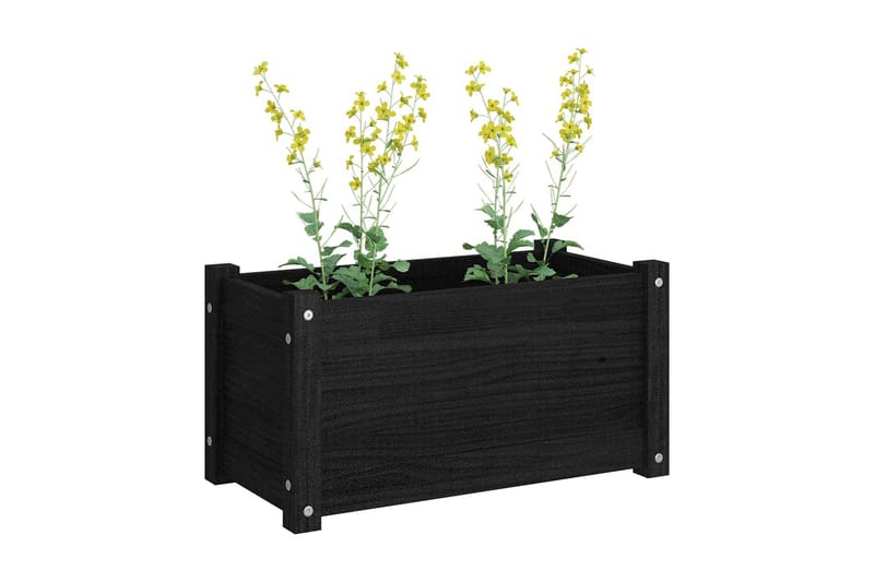 Odlingslådor 2 st svart 60x31x31 cm massiv furu - Blomlåda & balkonglåda - Utomhuskruka