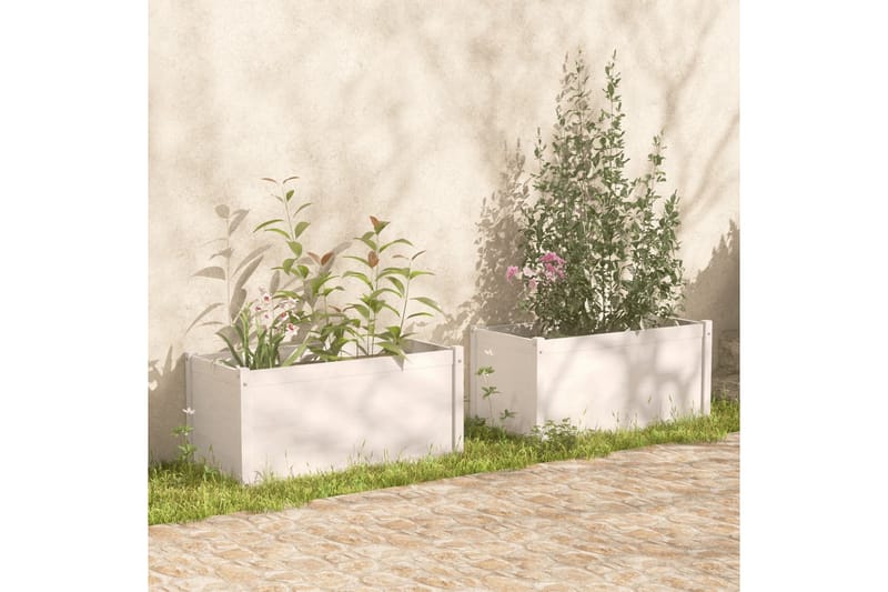 Odlingslådor 2 st vit 100x50x50 cm massiv furu - Vit - Utomhuskruka - Blomlåda & balkonglåda
