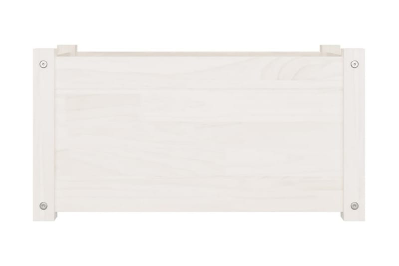 Odlingslådor 2 st vit 60x31x31 cm massiv furu - Vit - Utomhuskruka - Blomlåda & balkonglåda