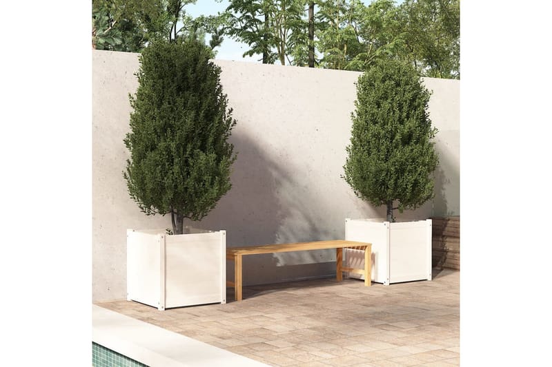 Odlingslådor 2 st vit 60x60x60 cm massiv furu - Vit - Utomhuskruka - Blomlåda & balkonglåda