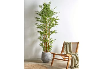Konstgjord växt Bamboo - Inredning - Dekoration & inredningsdetaljer - Prydnadssaker - Blomsterdekoration