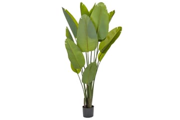 Konstgjord växt Banana Tree Grön/Svart, 115x115x187 cm - Grön/Svart, 115x115x187 cm - Inredning - Dekoration & inredningsdetaljer - Prydnadssaker - Blomsterdekoration