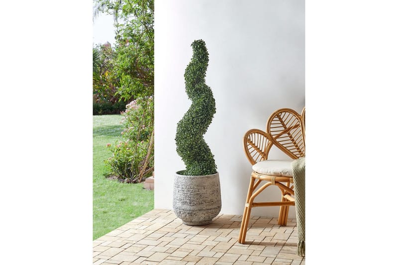 Konstgjord växt Boxwood Spiral Tree - Inredning - Dekoration & inredningsdetaljer - Prydnadssaker - Blomsterdekoration