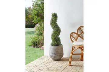 Konstgjord växt Buxus Spiral Tree 30x30x98 cm - 30x30x98 cm - Inredning - Dekoration & inredningsdetaljer - Prydnadssaker - Blomsterdekoration