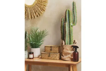 Konstgjord växt Cactus - Inredning - Dekoration & inredningsdetaljer - Prydnadssaker - Blomsterdekoration
