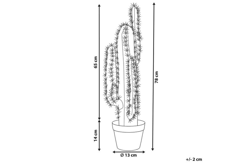 Konstgjord växt Cactus - Inredning - Dekoration & inredningsdetaljer - Prydnadssaker - Blomsterdekoration