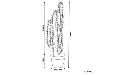 Konstgjord växt Cactus - Inredning - Dekoration & inredningsdetaljer - Prydnadssaker - Blomsterdekoration