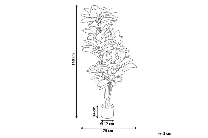 Konstgjord växt Codiaeum - Inredning - Dekoration & inredningsdetaljer - Prydnadssaker - Blomsterdekoration