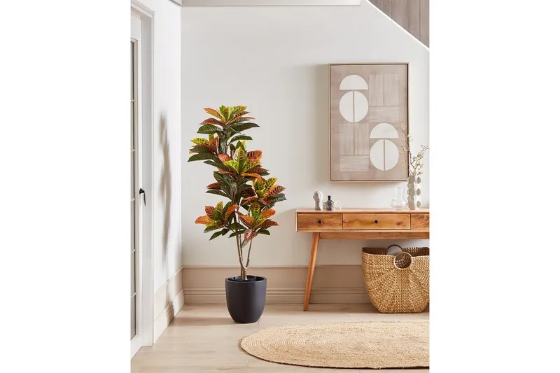 Konstgjord växt Codiaeum - Inredning - Dekoration & inredningsdetaljer - Prydnadssaker - Blomsterdekoration