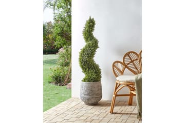 Konstgjord växt Cypress Spiral Tree - Inredning - Dekoration & inredningsdetaljer - Prydnadssaker - Blomsterdekoration