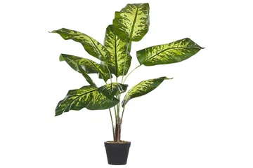 Konstgjord växt Dieffenbachia 16x16x122 cm - 16x16x122 cm - Inredning - Dekoration & inredningsdetaljer - Prydnadssaker - Blomsterdekoration