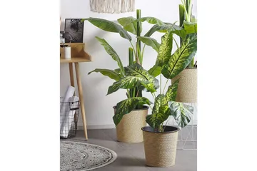Konstgjord växt Dieffenbachia 16x16x122 cm - 16x16x122 cm - Inredning - Dekoration & inredningsdetaljer - Prydnadssaker - Blomsterdekoration