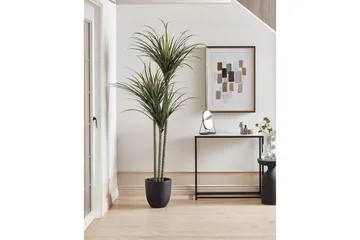 Konstgjord växt Dracaena Anita - Inredning - Dekoration & inredningsdetaljer - Prydnadssaker - Blomsterdekoration