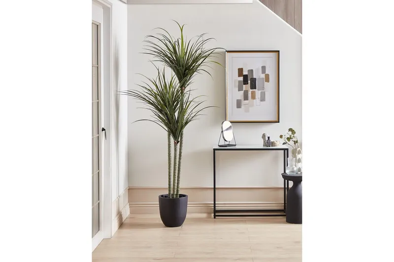 Konstgjord växt Dracaena Anita - Inredning - Dekoration & inredningsdetaljer - Prydnadssaker - Blomsterdekoration