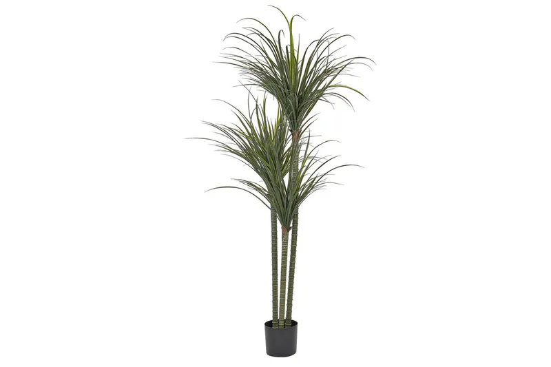 Konstgjord växt Dracaena Anita