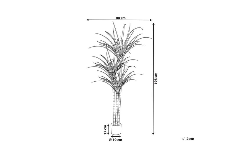 Konstgjord växt Dracaena Anita - Inredning - Dekoration & inredningsdetaljer - Prydnadssaker - Blomsterdekoration